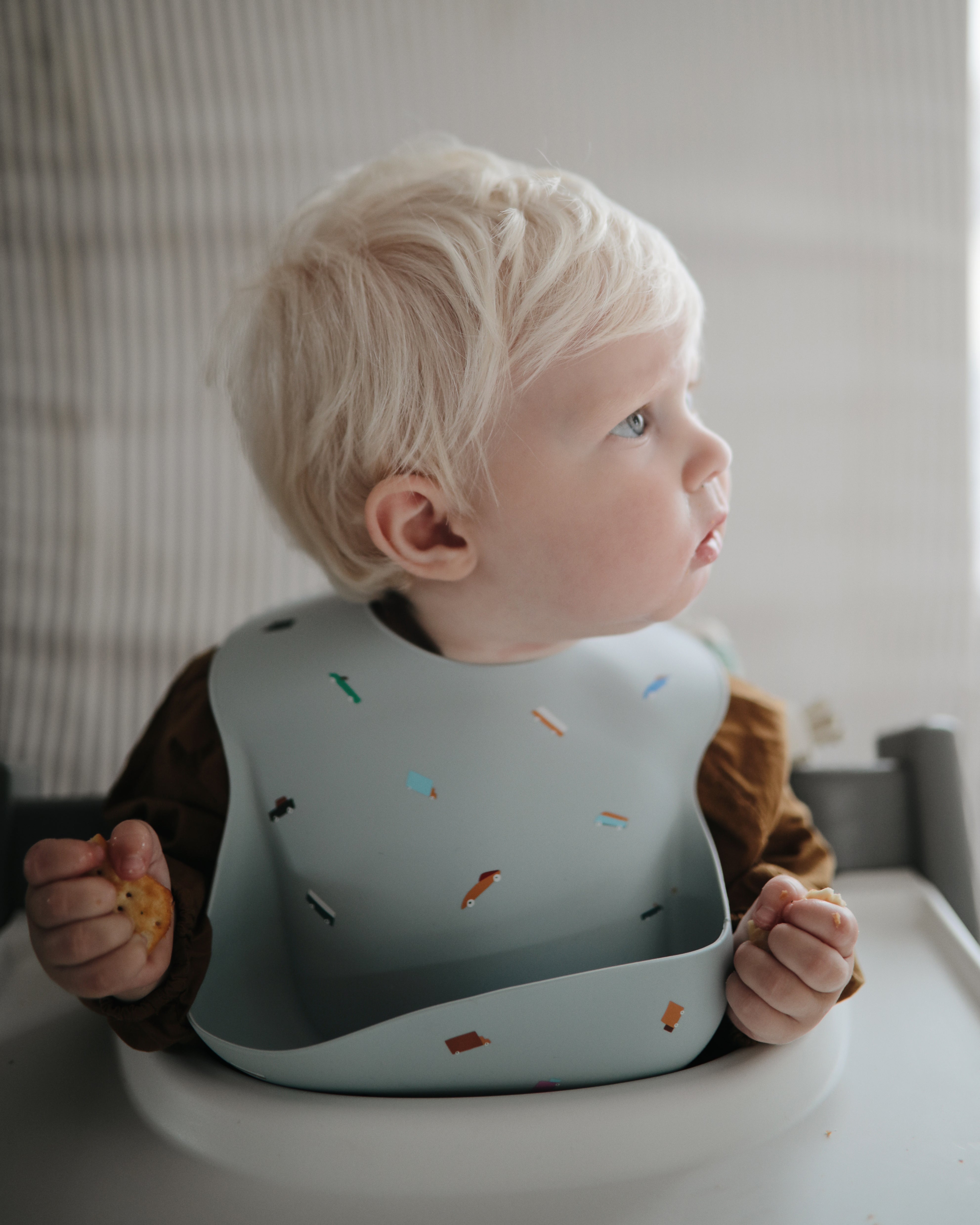 Silicone Baby Bib (Printed)