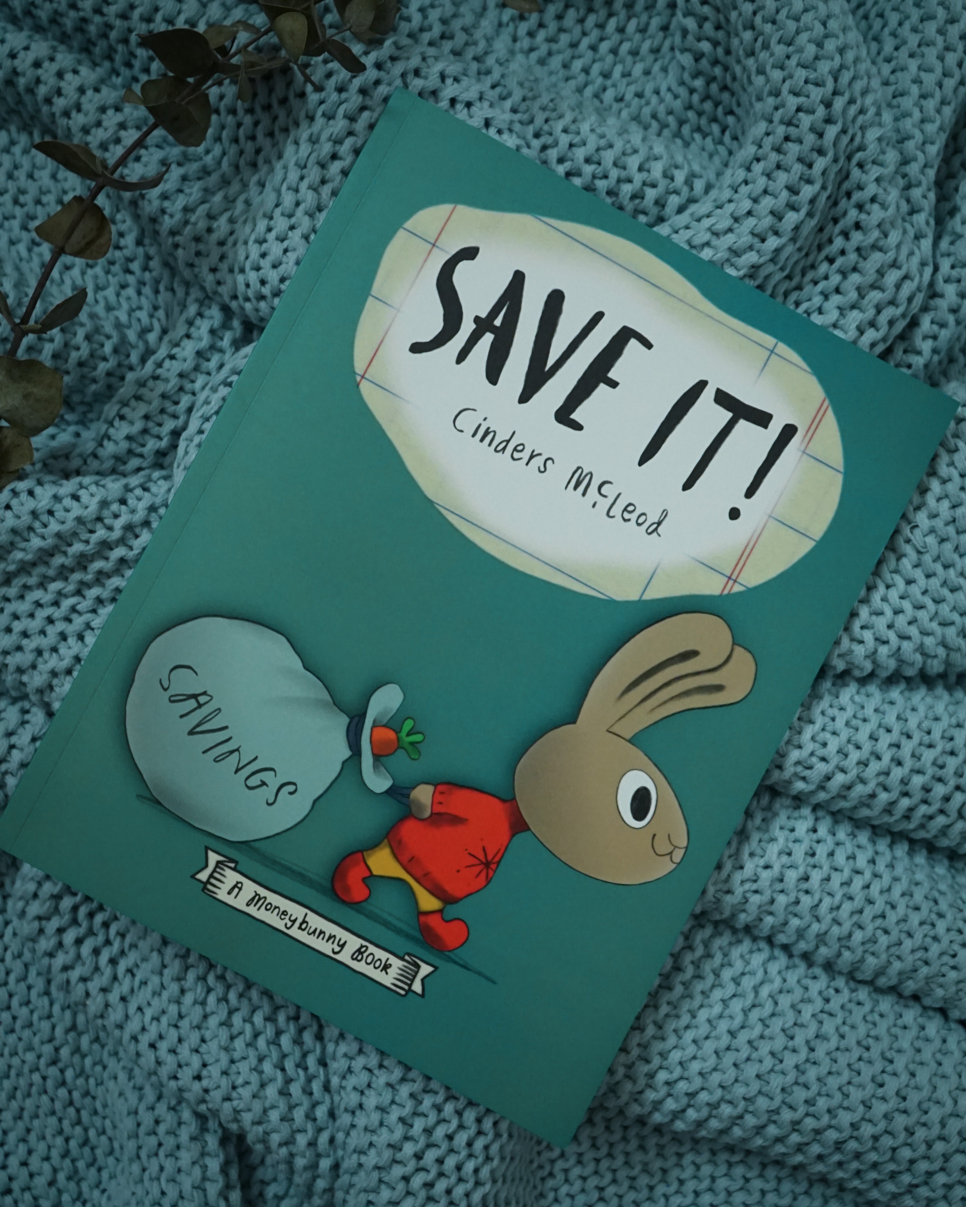 The Moneybunny series - Earn it, Save it, Spend it