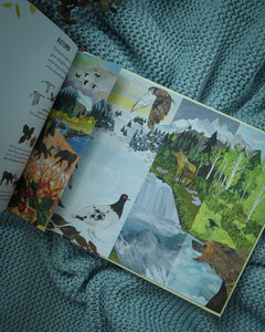 Seasons